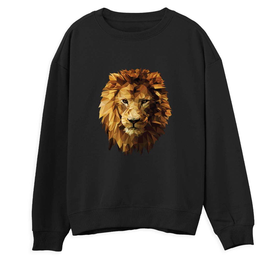 Sweatshirt "Aslan 2"